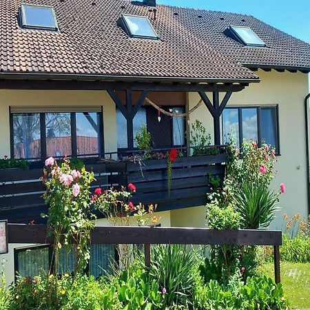 Gaestehaus Gaby Bad Bellingen Zewnętrze zdjęcie