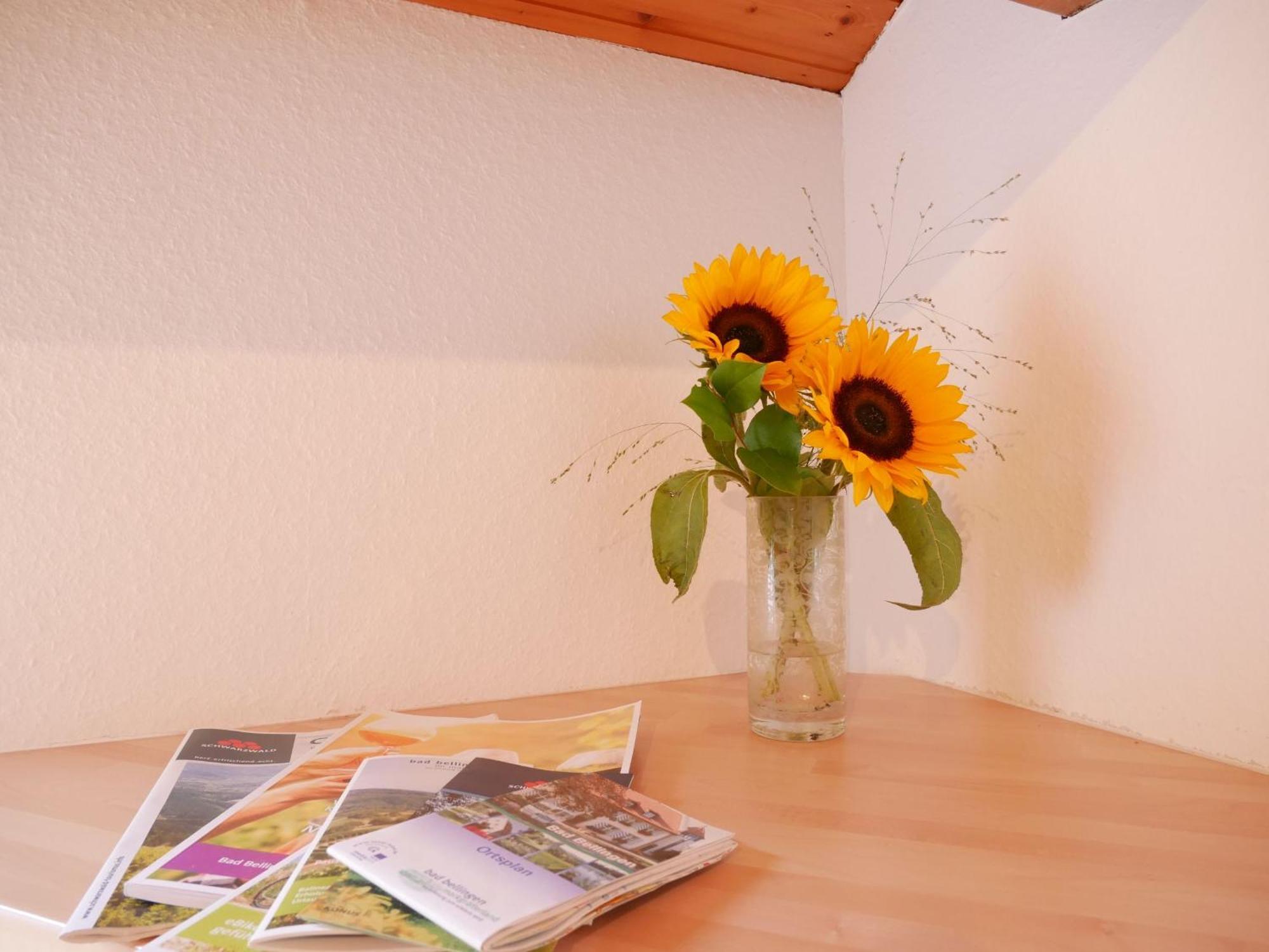 Gaestehaus Gaby Bad Bellingen Zewnętrze zdjęcie