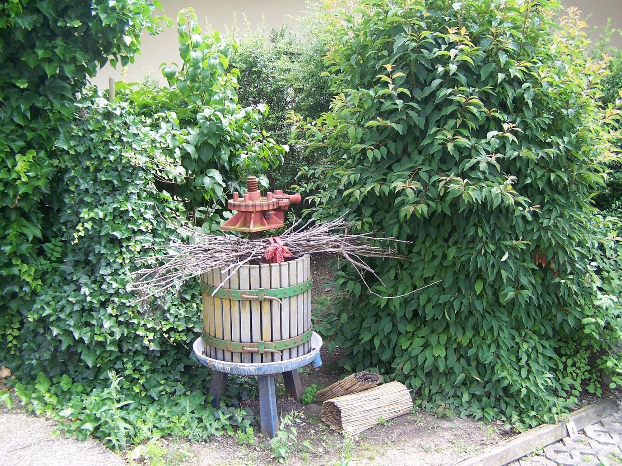 Gaestehaus Gaby Bad Bellingen Zewnętrze zdjęcie